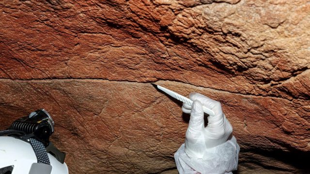 Ancient DNA Discovered in Iberian Caves: New Insights into Human History | dodgers rays betting odds Ancient DNA Discovered in Iberian Caves: New Insights into Human History | dodgers rays betting odds