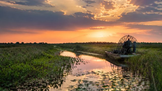 Preserving Louisiana's Marshlands: A Critical Need for Millions | suzy deepfake, oke 168 login Preserving Louisiana's Marshlands: A Critical Need for Millions | suzy deepfake, oke 168 login