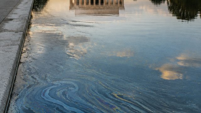 Allegations of Vandalism at Lincoln Memorial's Reflecting Pool Raise Eyebrows | raja188 slot, golden Allegations of Vandalism at Lincoln Memorial's Reflecting Pool Raise Eyebrows | raja188 slot, golden
