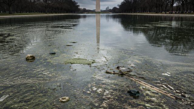 Controversy at the Reflecting Pool: Signs of Decay and Unrest | pk1 sport joker123, pemain tengah da Controversy at the Reflecting Pool: Signs of Decay and Unrest | pk1 sport joker123, pemain tengah da