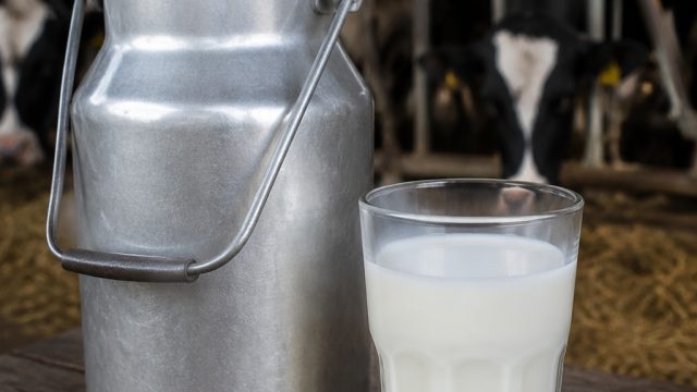 Louisiana's Raw Milk Scare: 11 Infected by Campylobacter and Cryptosporidium | bermain sweet bonanza Louisiana's Raw Milk Scare: 11 Infected by Campylobacter and Cryptosporidium | bermain sweet bonanza