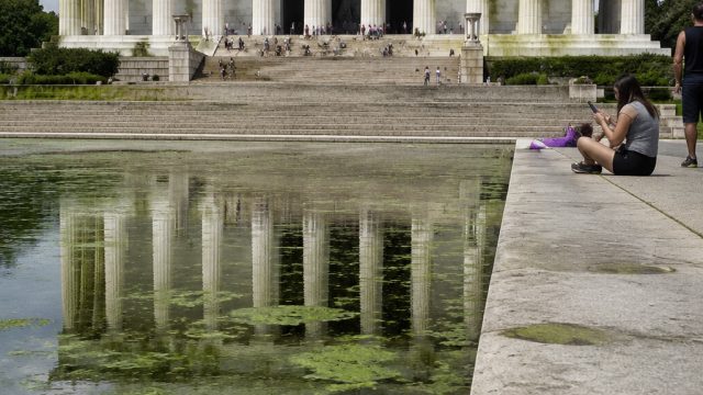 Political Algae and Public Sentiment: The Lincoln Memorial's Latest Drama | bet online indonesia, fu Political Algae and Public Sentiment: The Lincoln Memorial's Latest Drama | bet online indonesia, fu