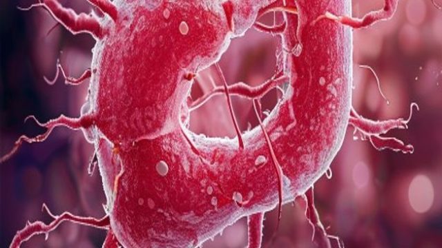 New Insights on Endometrial Cancer Risk and Lifestyle Adjustments | 8 togel hongkongkong, free vegas New Insights on Endometrial Cancer Risk and Lifestyle Adjustments | 8 togel hongkongkong, free vegas
